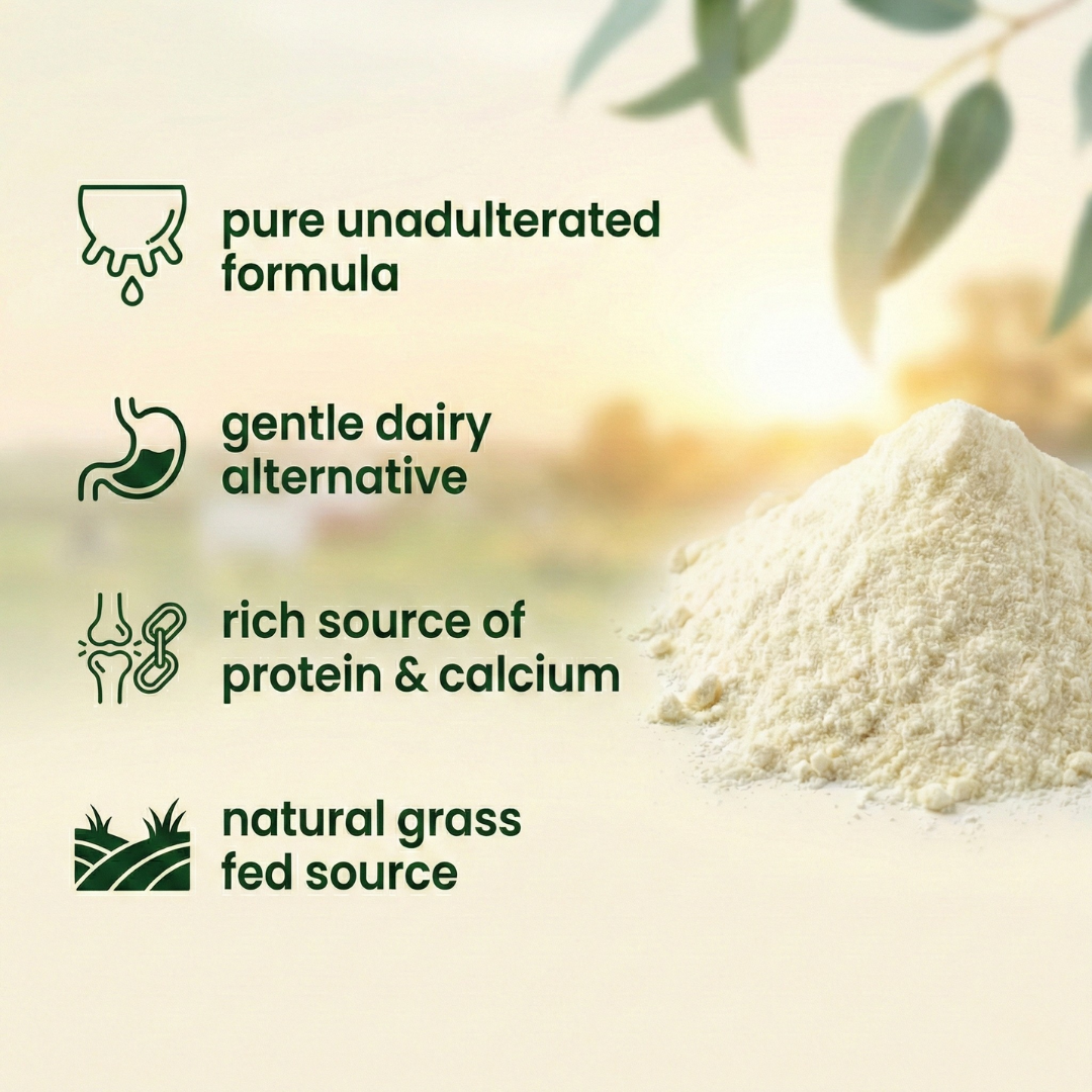 Goat Milk Powder – Powdered Goat Milk for Nutrition, Rich in Protein & Calcium