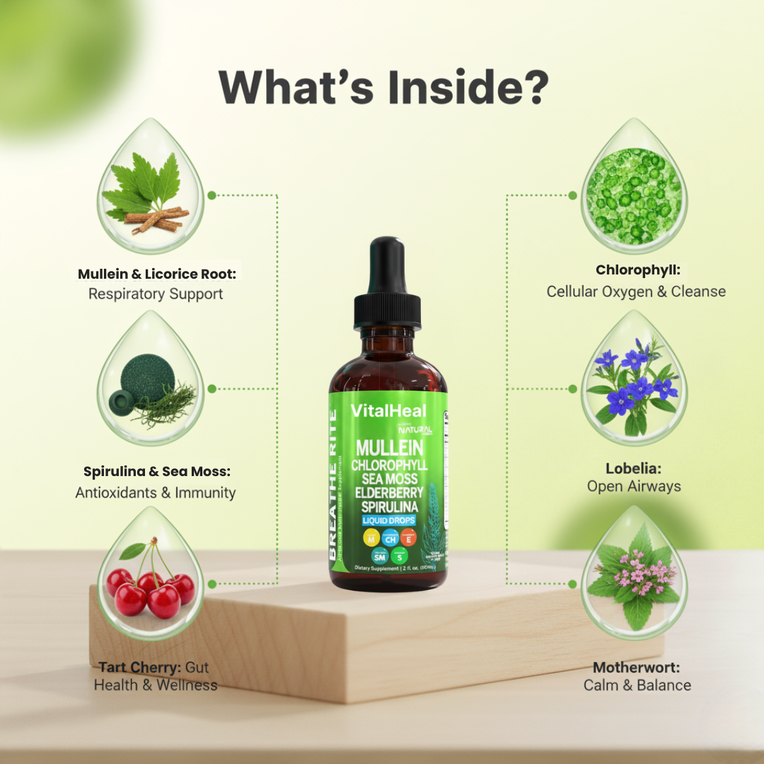 Mullein Liquid Drops for Lungs with Chlorophyll & Sea Moss – Supports Immune Health & Vitality