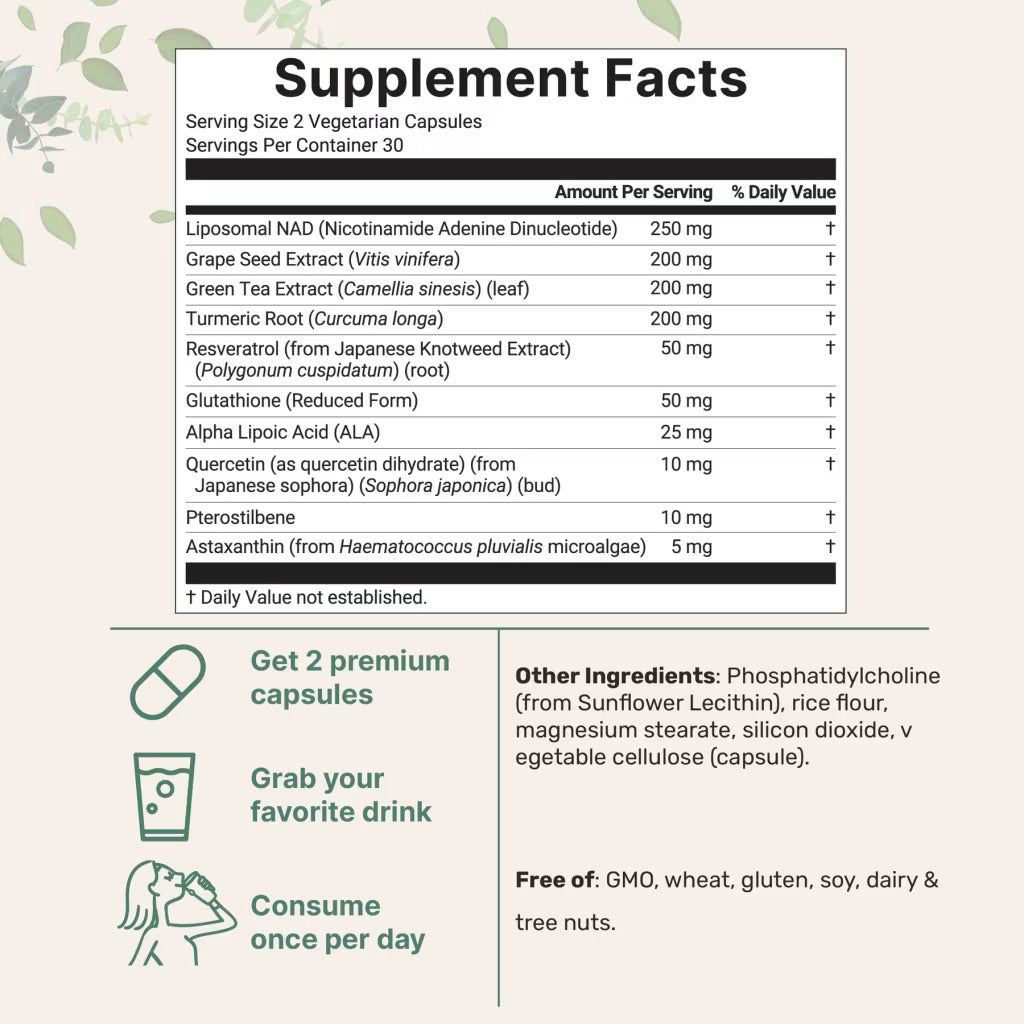 Liposomal NAD+ Capsules
