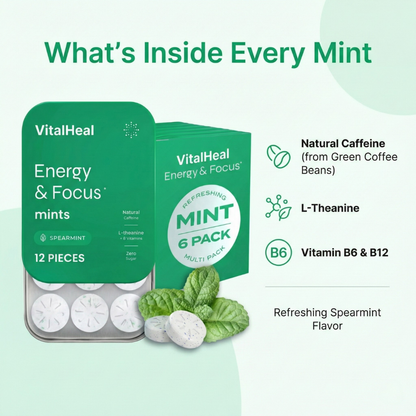 Energy & Focus Mints/Gums | Sugar Free with L-Theanine and Natural Caffeine – Spearmint Flavor