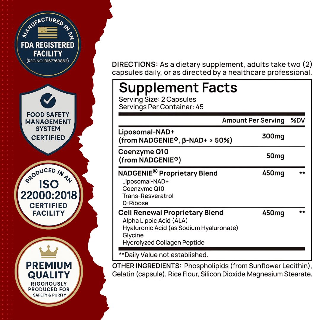 mitochondria booster foods