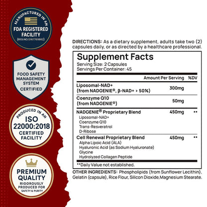 mitochondria booster foods