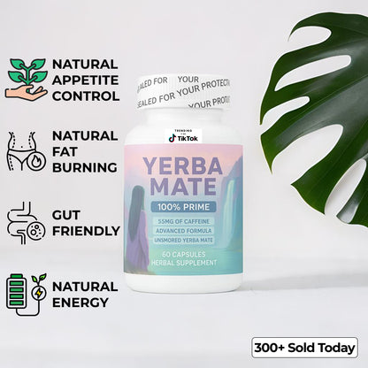 Yerba Mate Capsules