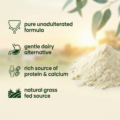 Goat Milk Powder – Powdered Goat Milk for Nutrition, Rich in Protein & Calcium