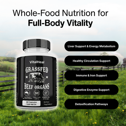 Grass Fed Beef Organs – Beef Organ Superfood Supplement for Energy, Immune & Digestive Support