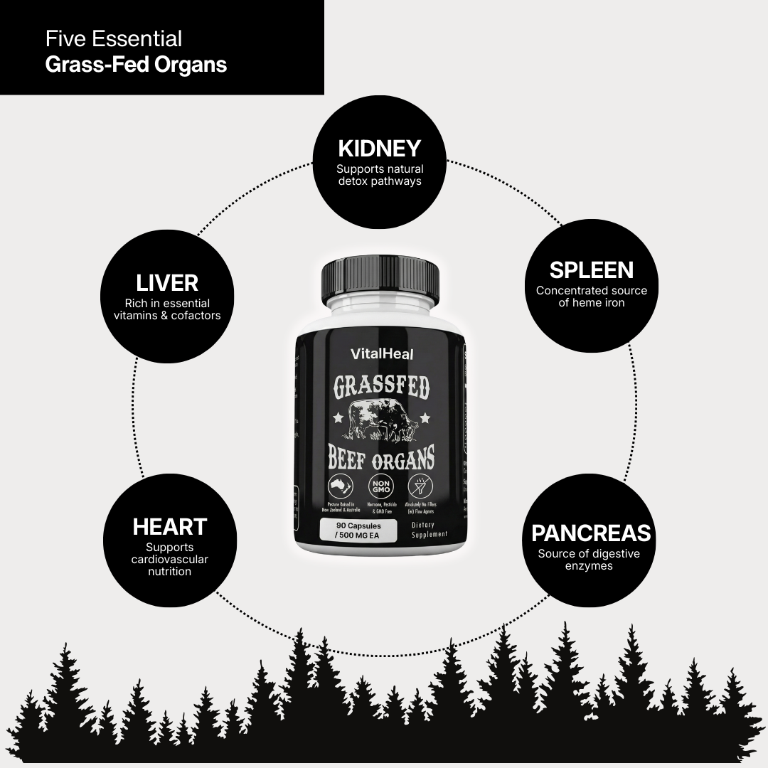 Grass Fed Beef Organs – Beef Organ Superfood Supplement for Energy, Immune & Digestive Support