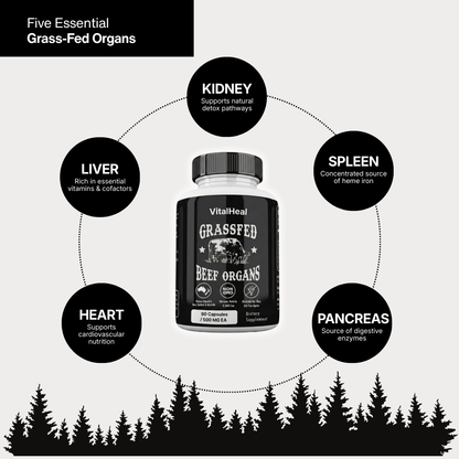 Grass Fed Beef Organs – Beef Organ Superfood Supplement for Energy, Immune & Digestive Support