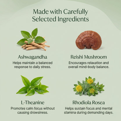 Mushroom Gummies – Stress, Mood & Focus Support with Ashwagandha, Reishi & L-Theanine (Vegan Gummies)