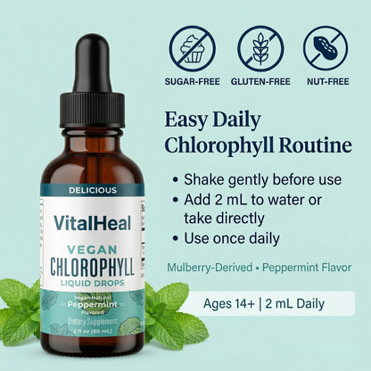 Vegan Chlorophyll Liquid Drops – Chlorophyll Liquid Supplement | Mulberry-Derived for Daily Wellness