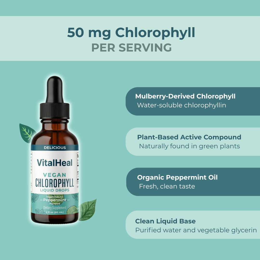 Vegan Chlorophyll Liquid Drops – Chlorophyll Liquid Supplement | Mulberry-Derived for Daily Wellness