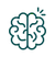 brain