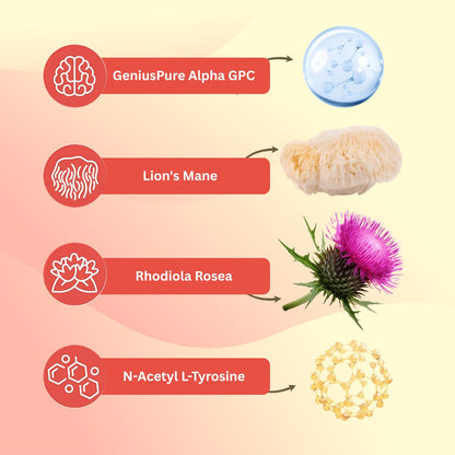 brain vitamins supplements