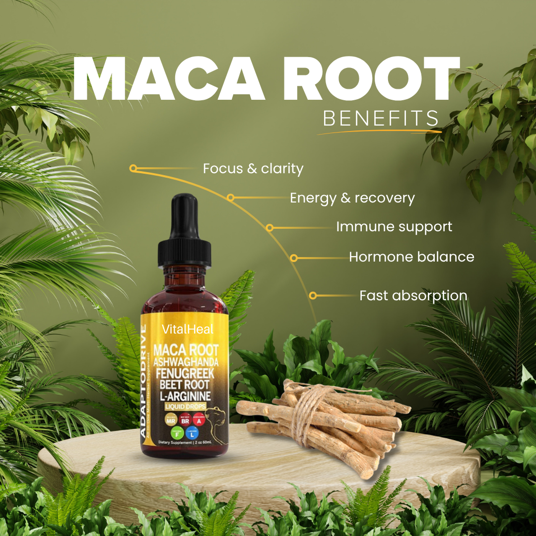 Organic Maca Root Liquid Drops with Ashwagandha, Fenugreek & Fermented Beet Root – Adaptogen + Gut Health Support