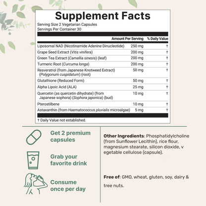 Liposomal NAD+ Capsules