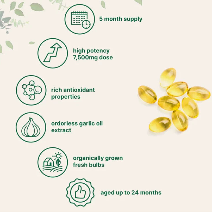 Aged Garlic Extract – Odorless High Potency