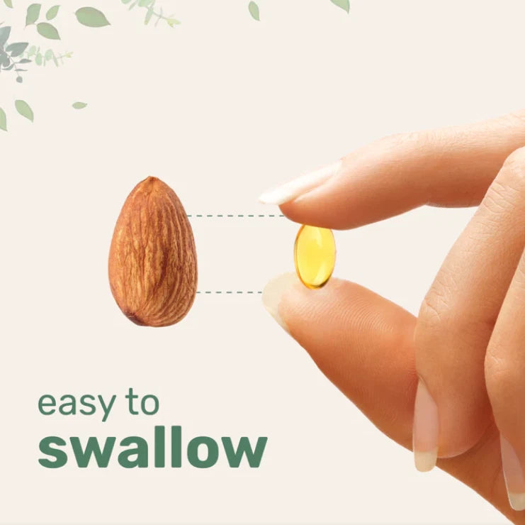 Aged Garlic Extract – Odorless High Potency