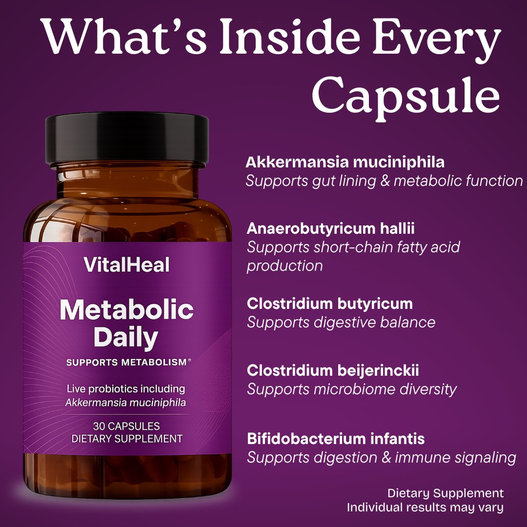 Pendulum Metabolic Daily Probiotic with Akkermansia for Gut & Energy