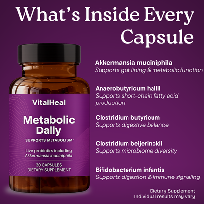 Pendulum Metabolic Daily Probiotic with Akkermansia for Gut & Energy